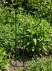Support pour plantes vivaces en métal 70 cm (x1) - Support Voir les images du produit 9