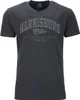 Übergrößen T-Shirt Harrisburg Grau AHORN SPORTSWEAR iron Produktbild-Vorschau 1