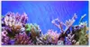 Tulup Leinwand-Bilder 140x70 Wandbild Canvas Kunstdruck Produktbild-Vorschau 1
