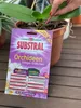 Substral Tyčinky pro hnojení orchidejí 10ks. Náhled obrázku produktu 6