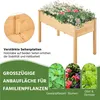 A wooden raised garden bed filled with flowers, with text and smaller images of plants below. Produktbild-Vorschau