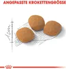 Royal Canin Exigent 42 Protein preference 400 g Produktbild-Vorschau 6