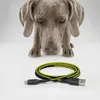 Automatischer Hundefutterspender Peluvio Crispy 4,5 l – Produktbild-Vorschau 5
