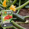 Gemüse-Dünger 0,75 l - Hochwertig - Nährstoffreich - Für Produktbild-Vorschau 9