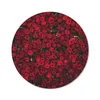 MuchoWow® Mauspad Mousepad Blumen - Rosen - Rot 40x40 cm - Produktbild-Vorschau 1