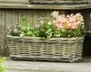 Rattan Pflanzkasten Koboo Grey 46cm – Balkonkasten Produktbild-Vorschau 5