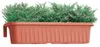 BAMA RONDINE Hängebox, terracotta Menge: 1 Stück, Maße: 50 Produktbild-Vorschau 10