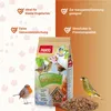 PANTO Gartentraum Sämereienmischung 5 x 1 kg - Produktbild-Vorschau 2