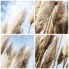 Gerahmtes Poster - Schwarzer Rahmen - Stock Himmel Boho - Produktbild-Vorschau 9