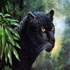 Malen nach Zahlen 5d Diamond Painting Black Panther Malen Produktbild-Vorschau 1