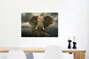 MuchoWow® Poster Afrikanischer Elefant gegen die dunklen Produktbild-Vorschau 6