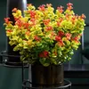 GreenboutiQ - Gartenpflanze - Leucothoe Curly Gold - Gelb - Produktbild-Vorschau 5