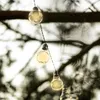 A string of solar-powered LED light bulbs hanging from tree branches. Anteprima dell’immagine prodotto