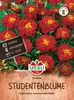 SPERLI Studentenblumensamen Carmen Tagetes patula 45 Produktbild-Vorschau 1