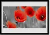 Bild 100x70 MDF-Rahmen Wandkunst Die Pflanze Mohn Natur Produktbild-Vorschau 1