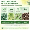 Thripse-Frei Bundle – Raubmilben, Orius & Nematoden Produktbild-Vorschau 6