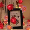 3M LED růžový světelný řetěz na baterie Valentýnská Náhled obrázku produktu 2