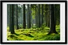 Bild 60x40 MDF-Rahmen, Wandkunst Fichtenwald Produktbild-Vorschau 1