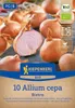 Kiepenkerl  Schalotten Biztro Allium cepa 10 Pflanzen Produktbild-Vorschau 1