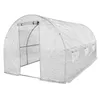 4iQ Serra polytunnel 2,5x4m Bianco Anteprima dell’immagine prodotto 5