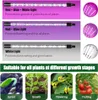 Railee Plant Lamp LED -Ständer, 192 LEDs, Produktbild-Vorschau 4