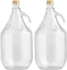 lilawelt24 2 x 5L Glasballon (Gallone) mit Produktbild-Vorschau 1