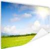 MuchoWow® Poster Sommer - Sonne - Feld 160x120 cm - Foto Produktbild-Vorschau 1