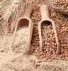 OTRĘBY PSZENNE 1kg Spożywcze naturalne do chleba świeże Podgląd zdjęcia produktu 2