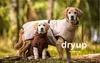 Dryup Cape sand XXL (74cm) Produktbild-Vorschau 6