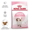 A bag of Royal Canin Kitten cat food. Produktbild-Vorschau