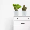 Blumentopf Pflanzentopf Übertopf Rund Blumenkübel Ryfo N Produktbild-Vorschau 5