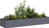A long, rectangular planter filled with green plants and some yellow flowers, set against a white background. Anteprima dell’immagine prodotto