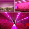 Collage of images showing LED grow lights in different settings, including a vertical garden and a greenhouse. Náhľad obrázku produktu