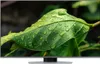 Samsung 50 Zoll QLED 4K Q80D Tizen OS™ Smart TV (2024) Produktbild-Vorschau 2