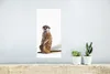MuchoWow® Poster Erdmännchen - Tiere - Fell 20x40 cm - Produktbild-Vorschau 5