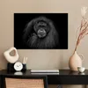 MuchoWow® Poster Orang-Utan-Profil in Schwarz und Weiß Produktbild-Vorschau 3