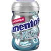 Mentos Kaugummi Pure Fresh Frost Euca Menthol Geschmack Produktbild-Vorschau 1