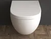 Alpenberger Wand WC mit Bidet Funktion | Dusch WC Produktbild-Vorschau 4