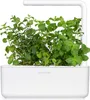 Emsa Click & Grow Substrat Pfefferminze Produktbild-Vorschau 14