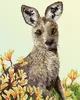 DIAMOND DOTZ® Original Diamond Painting Set Kangaroo & Produktbild-Vorschau 1