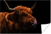 MuchoWow® Poster Schottisches Hochlandrind - Zunge - Nase Produktbild-Vorschau 1