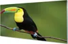 Glasbilder 140x70 Wandkunst Bunte Papageien auf einem Zweig Produktbild-Vorschau 1