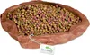 Terrario Natural Bowl – Terrarium-Schale 20x17x3 cm Produktbild-Vorschau 3