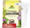 Neudorff Nützlinge gegen Dickmaulrüssler – 5 Mio. Produktbild-Vorschau 1