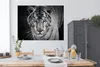 MuchoWow® Poster Tiere - Tiger - Schwarz und weiß - Augen - Produktbild-Vorschau 3