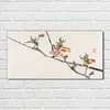 Coloray Bild aus Acryl 100 cm x 50 cm - Dekoration Produktbild-Vorschau 2