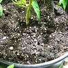 Hubey Perlite für Pflanzen 4 L Sauerstoffspeicher Substrat Produktbild-Vorschau 3