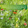 Greenyp Wildblumenmischung I 100g für 100m² I Produktbild-Vorschau 6