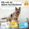 HUND IST KÖNIG Windeln für Hündinnen [3 Stk], L (Taille Produktbild-Vorschau 2