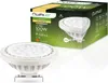 A product shot of a Lumiled LED bulb and its packaging. Produktbild-Vorschau